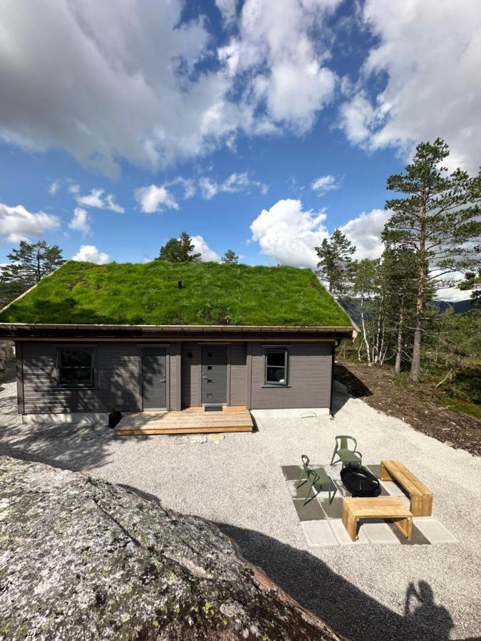 Modern Northern Lights Cabin Drangedal Екстериор снимка