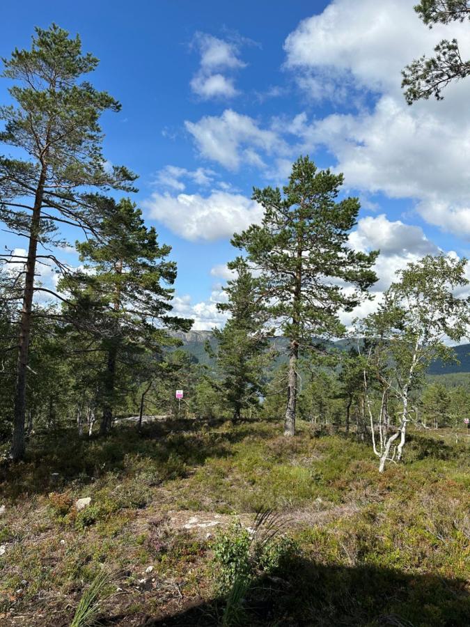 Modern Northern Lights Cabin Drangedal Екстериор снимка