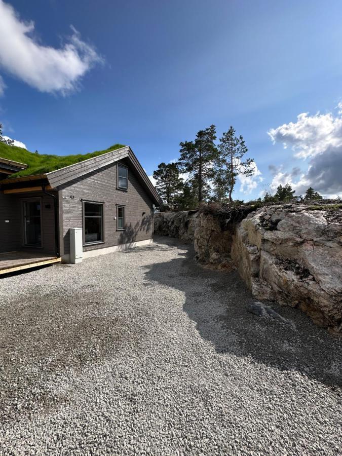 Modern Northern Lights Cabin Drangedal Екстериор снимка