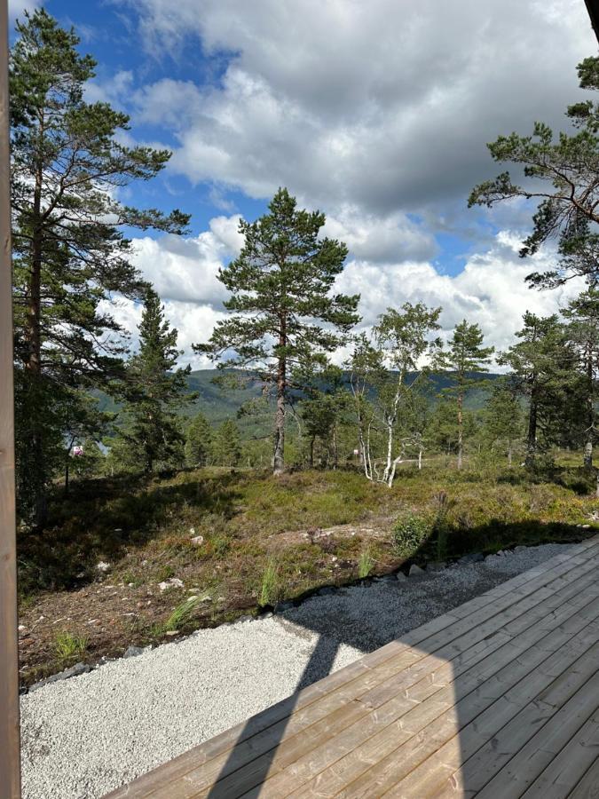 Modern Northern Lights Cabin Drangedal Екстериор снимка