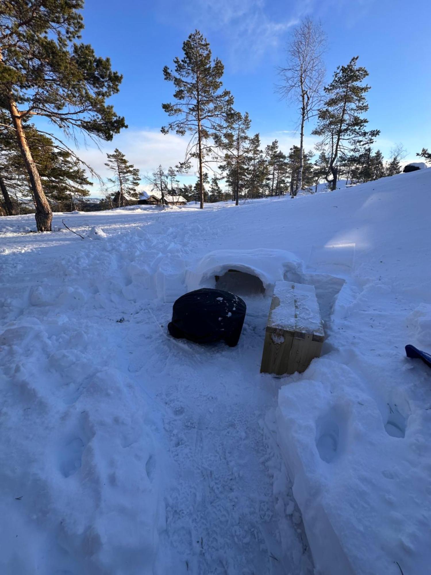 Modern Northern Lights Cabin Drangedal Екстериор снимка