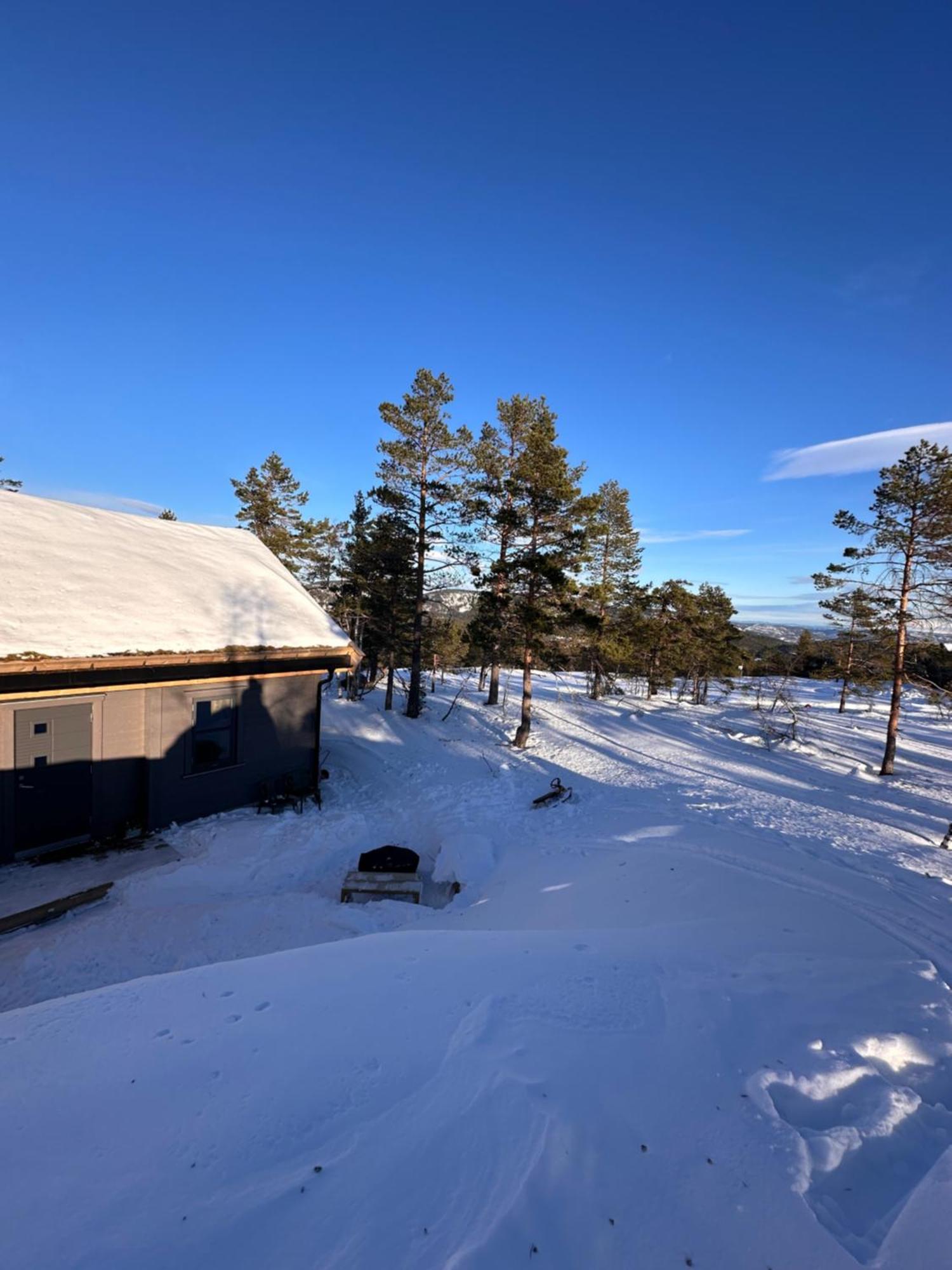 Modern Northern Lights Cabin Drangedal Екстериор снимка