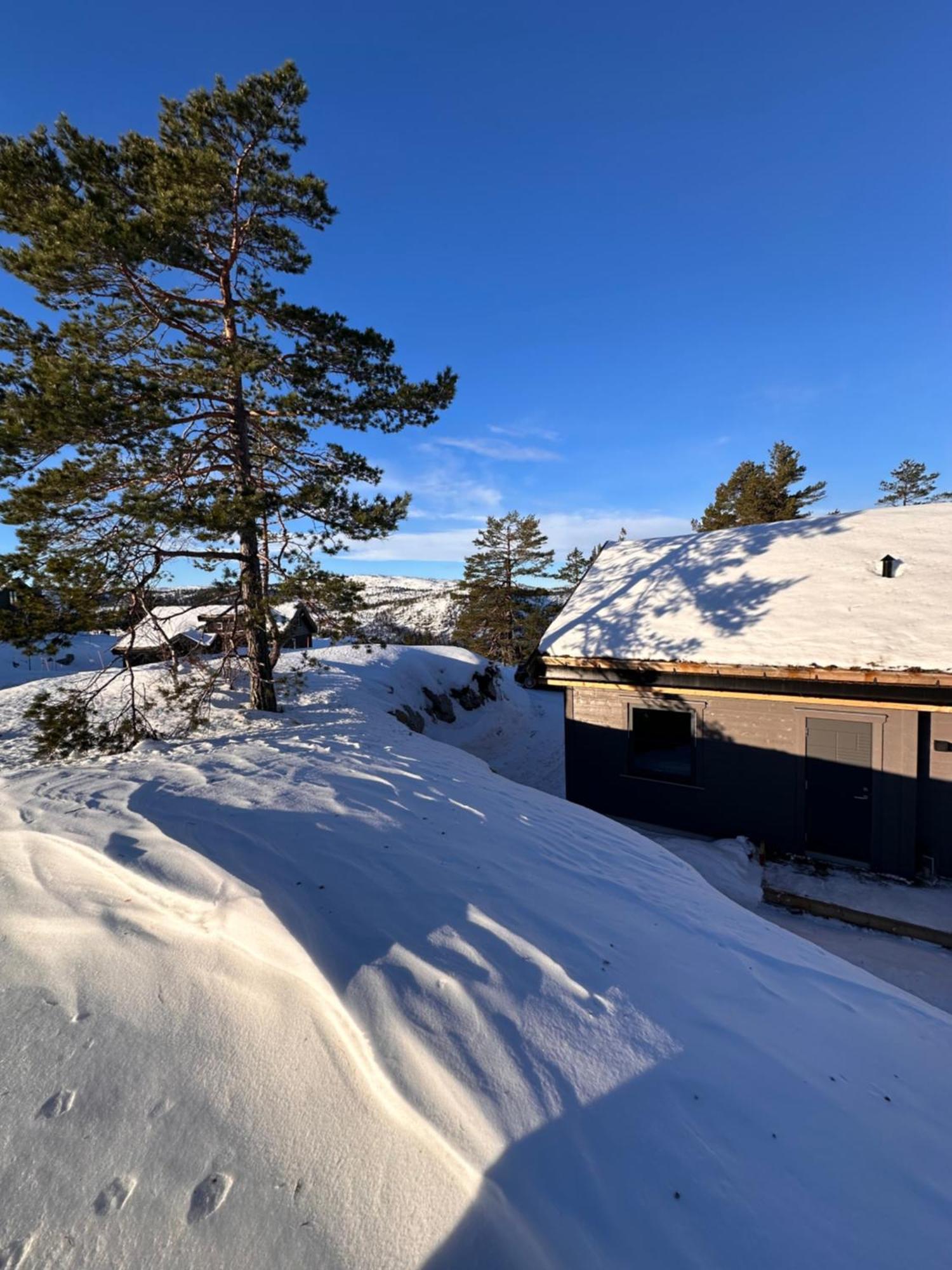 Modern Northern Lights Cabin Drangedal Екстериор снимка