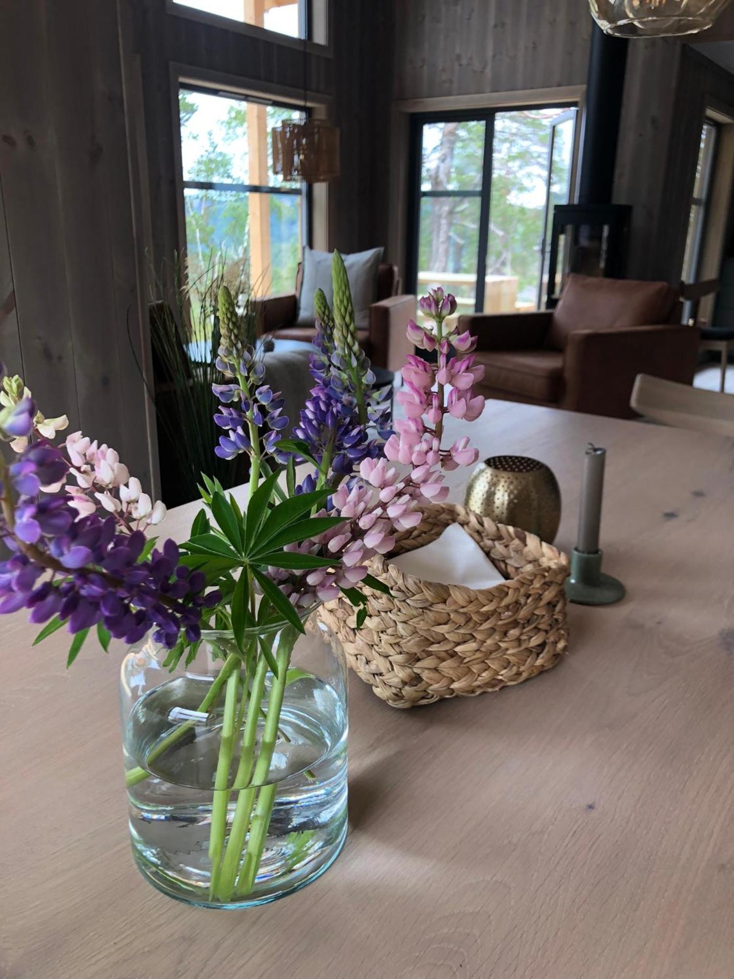 Modern Northern Lights Cabin Drangedal Екстериор снимка