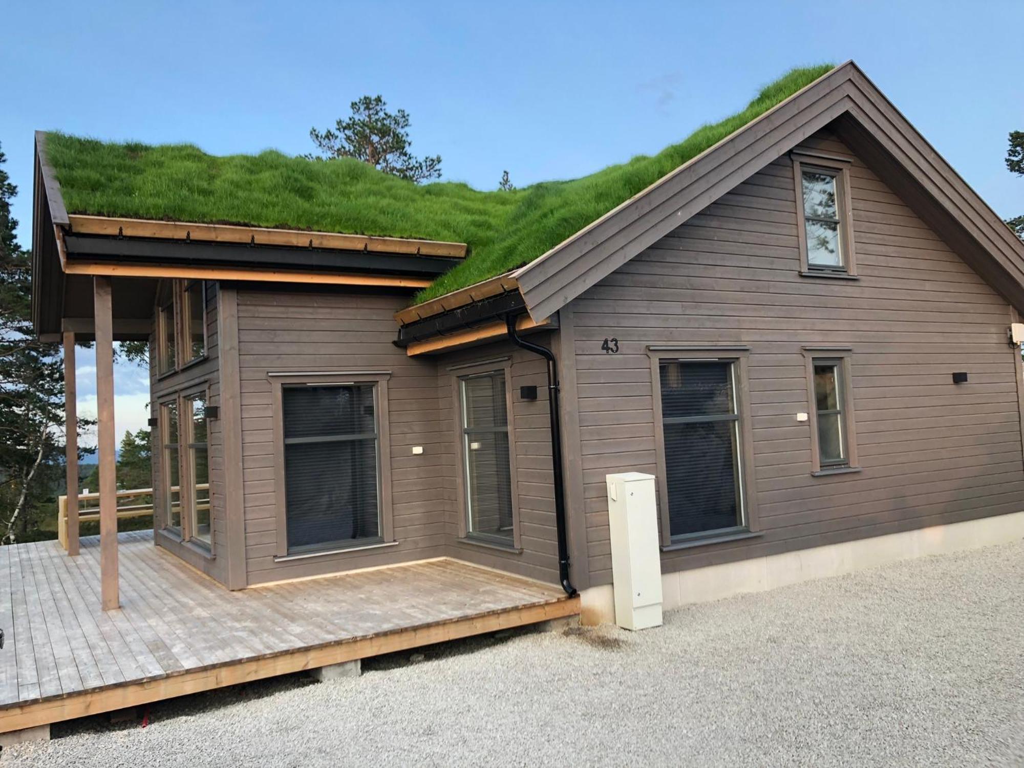 Modern Northern Lights Cabin Drangedal Екстериор снимка