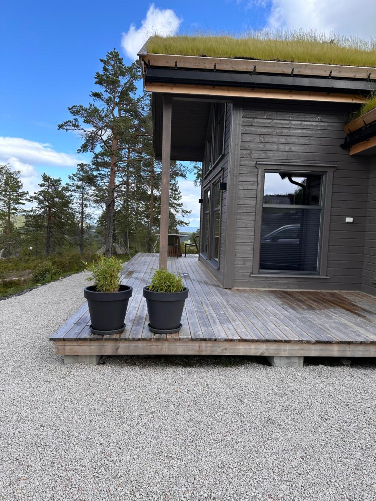 Modern Northern Lights Cabin Drangedal Екстериор снимка