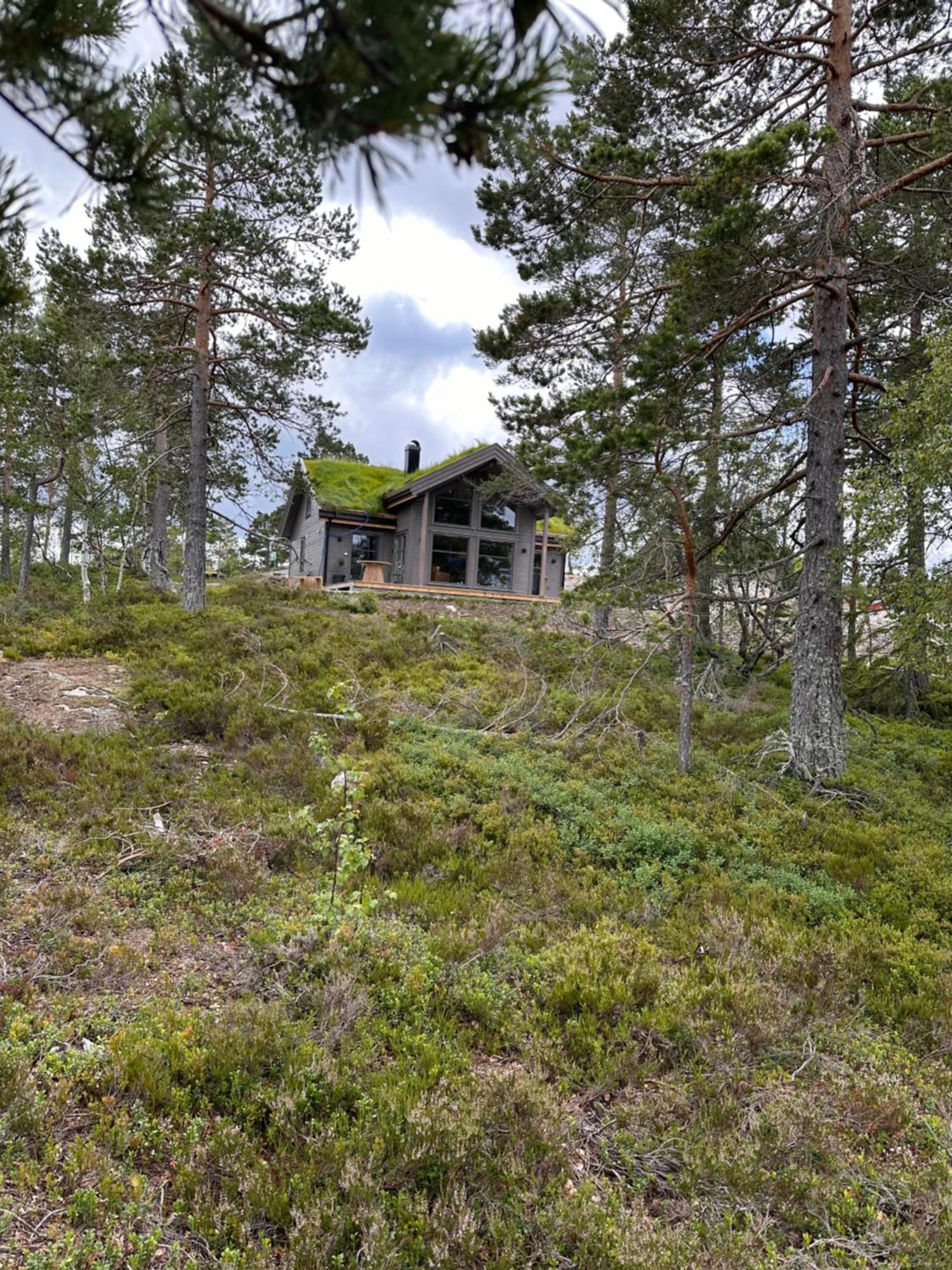 Modern Northern Lights Cabin Drangedal Екстериор снимка