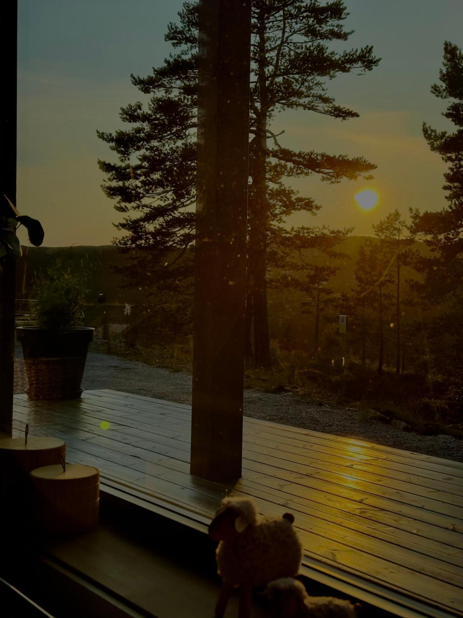Modern Northern Lights Cabin Drangedal Екстериор снимка
