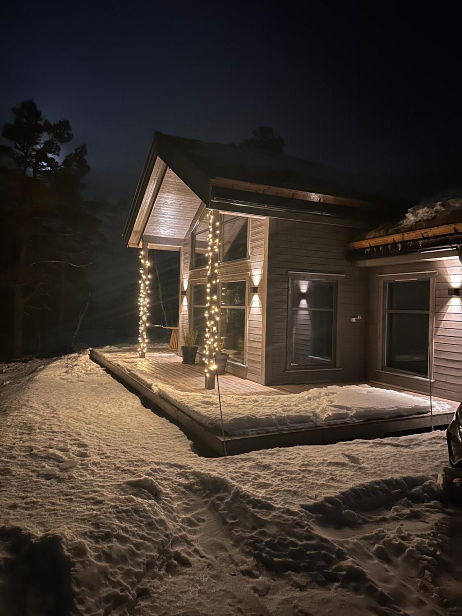 Modern Northern Lights Cabin Drangedal Екстериор снимка