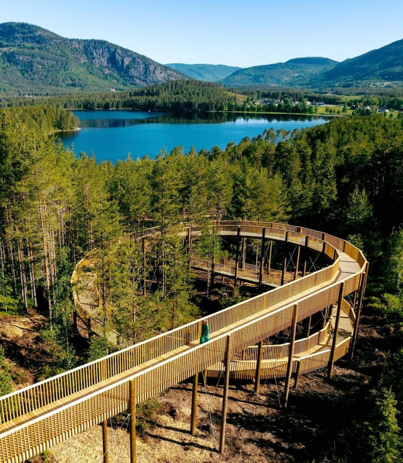 Modern Northern Lights Cabin Drangedal Екстериор снимка